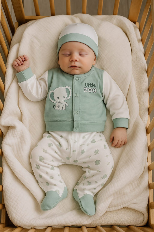 CONJUNTO DE 5PZ PARA VARONCITO LITTLE ZOO